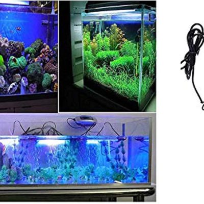حوّل حوض سمك الزينة للوحة فنية تشع ألوان حية! 🐠 الرياض والجمال في بيتك