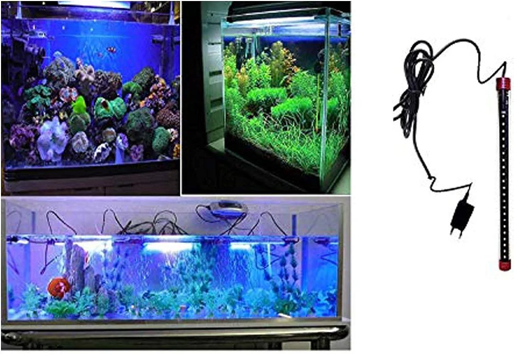 حوّل حوض سمك الزينة للوحة فنية تشع ألوان حية! 🐠 الرياض والجمال في بيتك