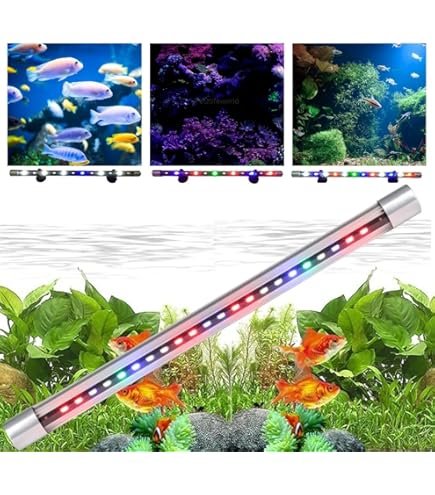 حوّل حوض سمك الزينة للوحة فنية تشع ألوان حية! 🐠 الرياض والجمال في بيتك - الصورة 3